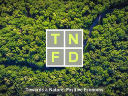 F4B congratulates TNFD on its first convening & launch of Development Finance Hub